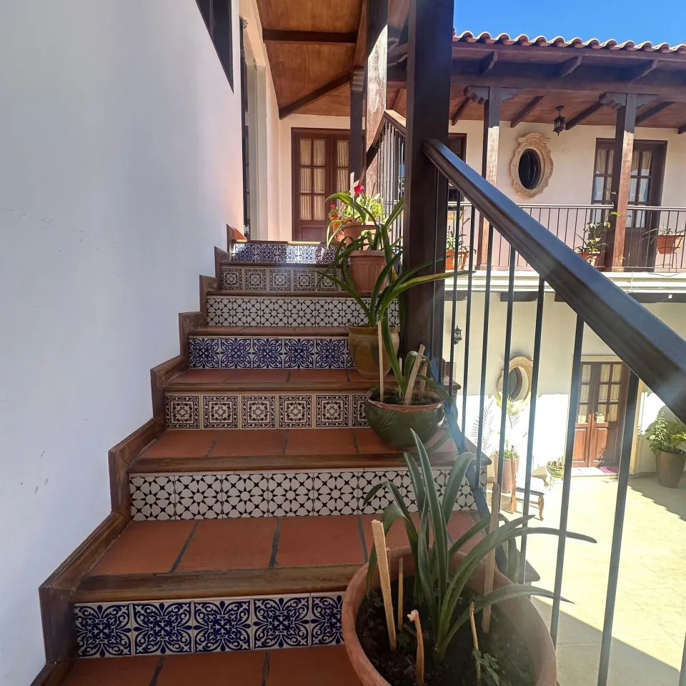 Escalera con azulejos decorados y plantas